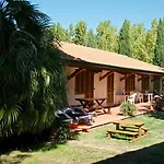 Ghiacci Vecchi Venturina Terme