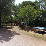 Ghiacci Vecchi 4*