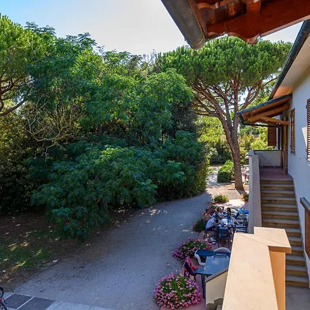 Ghiacci Vecchi Venturina Terme
