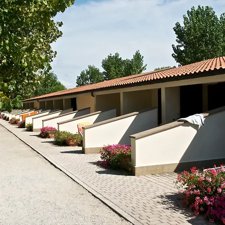 Ghiacci Vecchi 4*