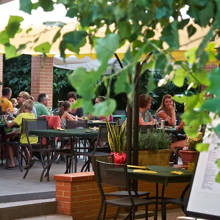 Ghiacci Vecchi Venturina Terme